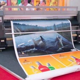 In Decal PP giá rẻ